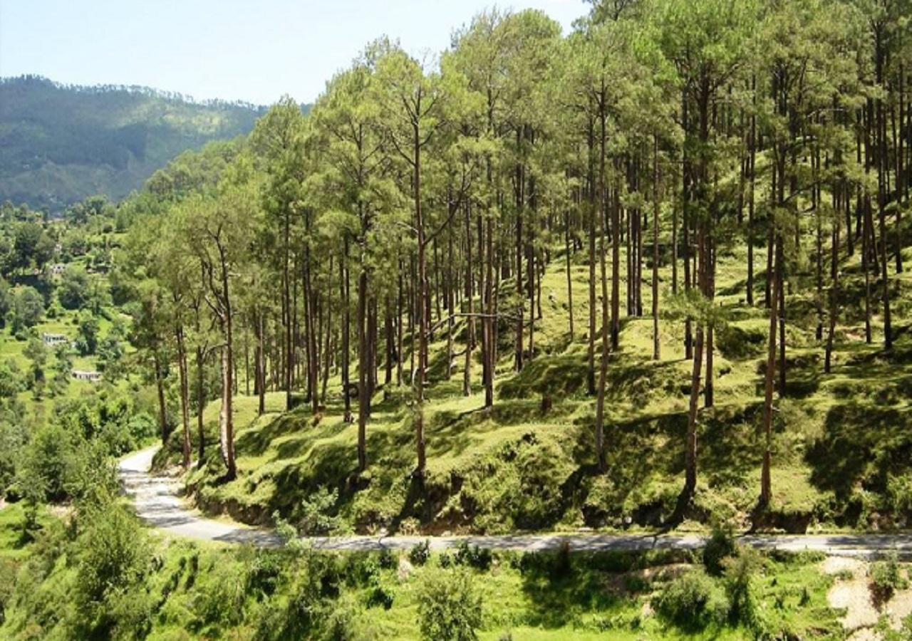 Uttarakhand Resort Kausani Buitenkant foto